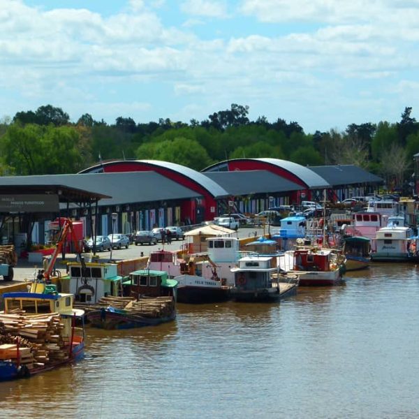 116412809_395541744757719_494921466988677656_n