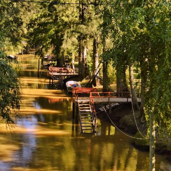 166671495_248674083605808_3782325970249868753_n