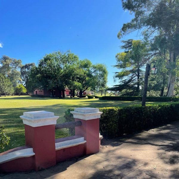 273382746_1004504700416789_751583055794447370_n