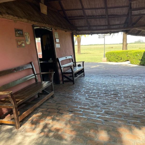 326003743_965736911064092_7353557527499462625_n