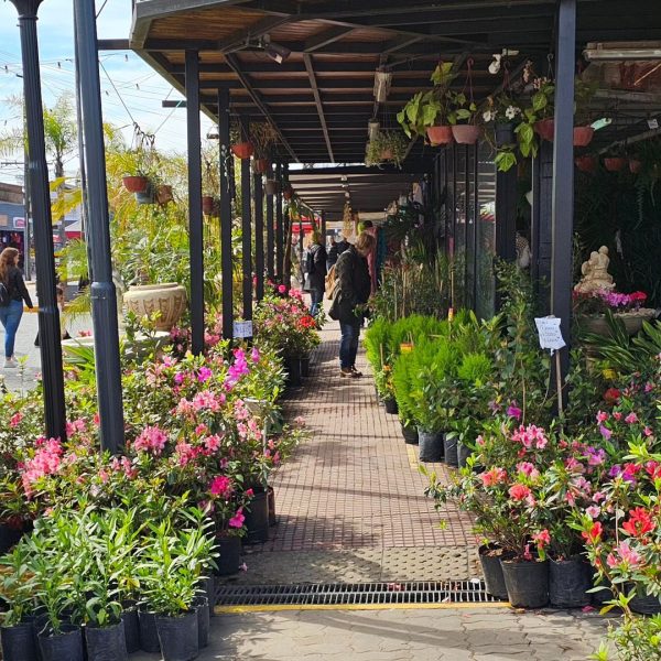 376734535_1818538835266804_1709615478309818380_n