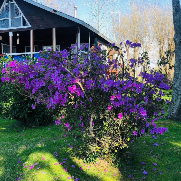 Copia de Diseño sin título (91)