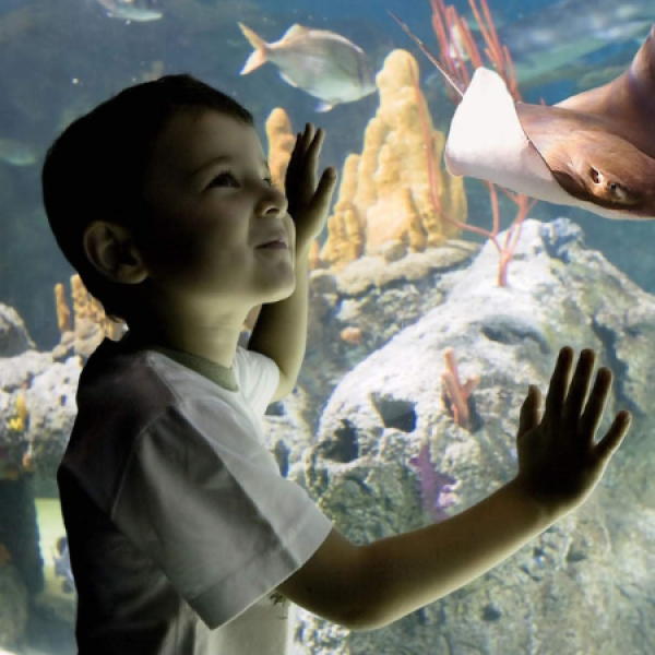 Diseño sin título (17)