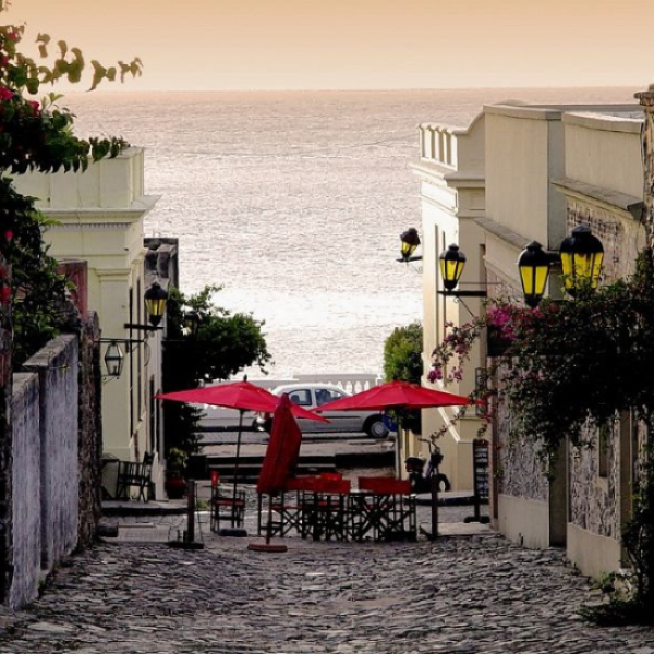 Diseño sin título (79)