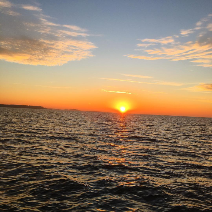 Diseño sin título (99)