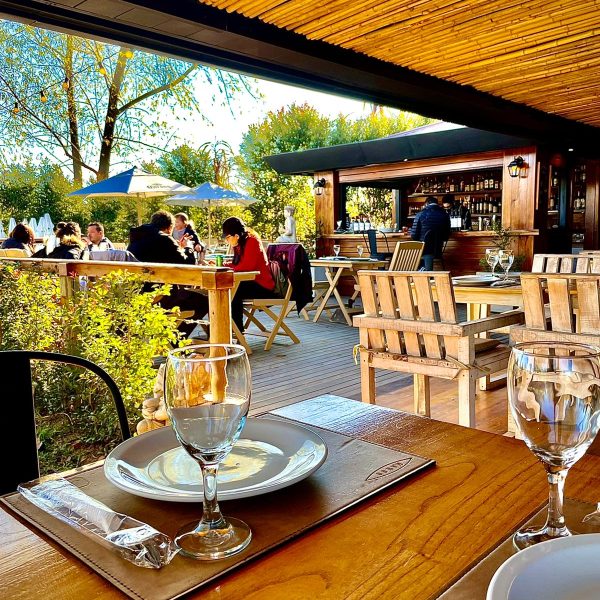 WhatsApp Image 2022-08-19 at 9.08.40 AM (1)