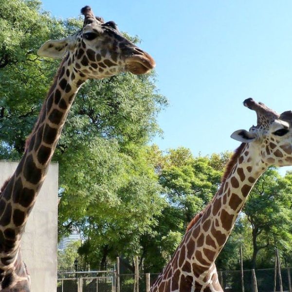 d2d7240d-4068-4da5-9020-b11c391249b1